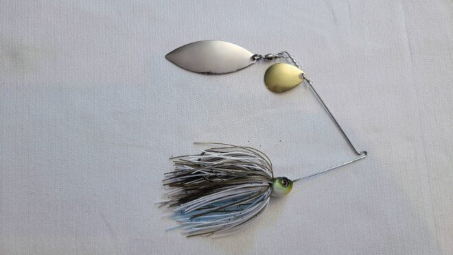 Spinnerbait