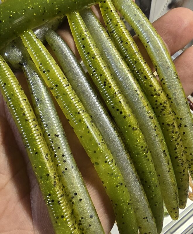 Worms